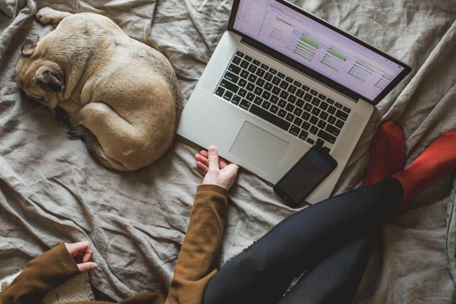 working-from-home (2)