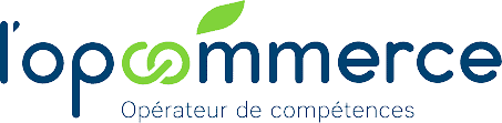 Logo Opcommerce